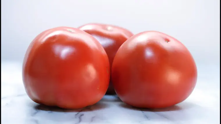 comment ramasser les graines des tomates pour l'année prochaine