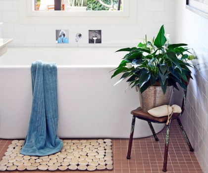 plante dans la salle de bain dépolluante