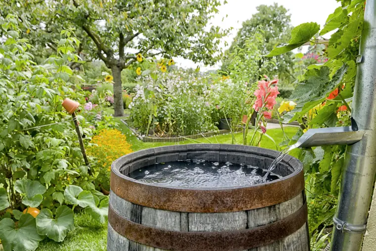 récupérateur d'eau de pluie avec bac à plantes 
