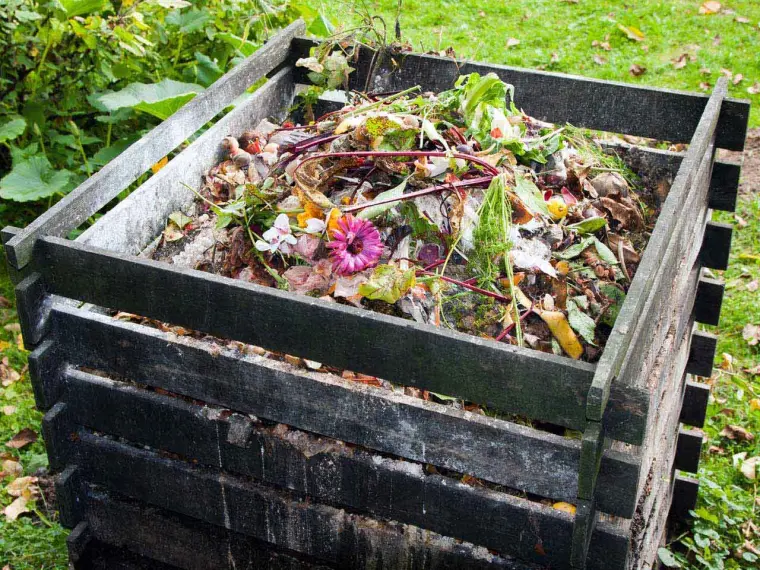 réussir son compost à éviter 