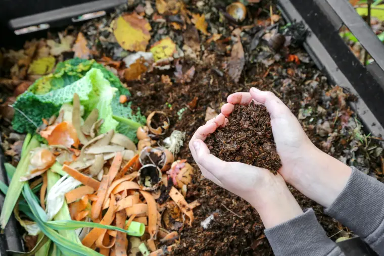 réussir son compost astuces 