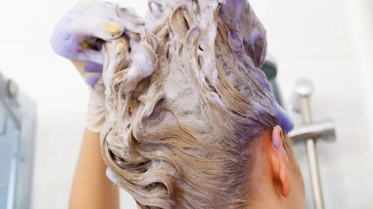 light hair purple shampoo