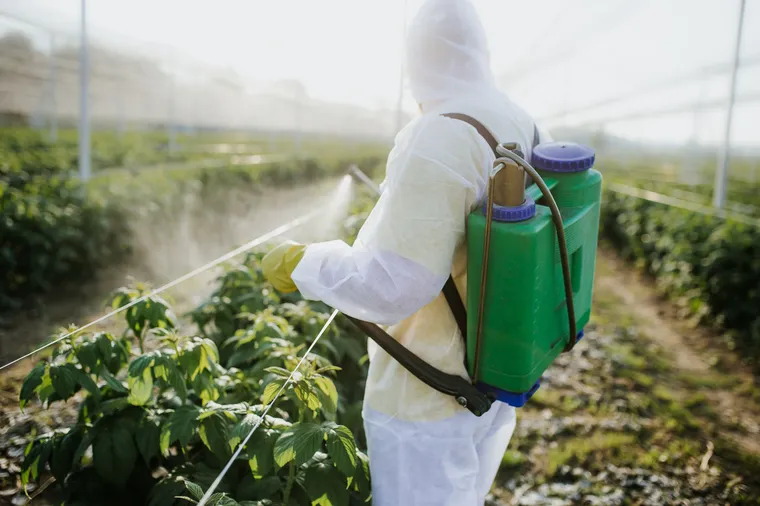 Printemps silencieux et dépendance croissante aux pesticides