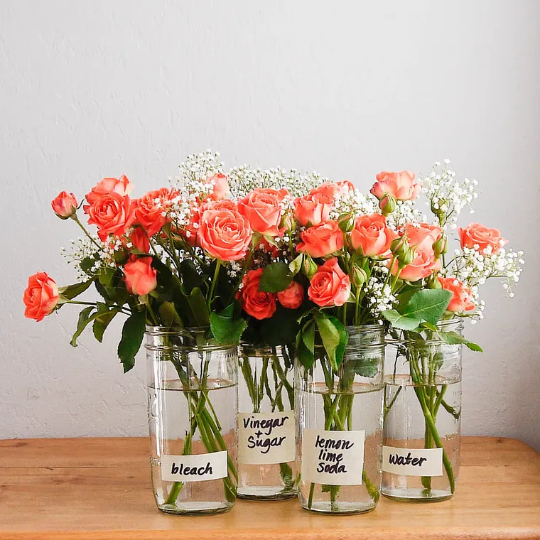 comment conserver fleurs en vase