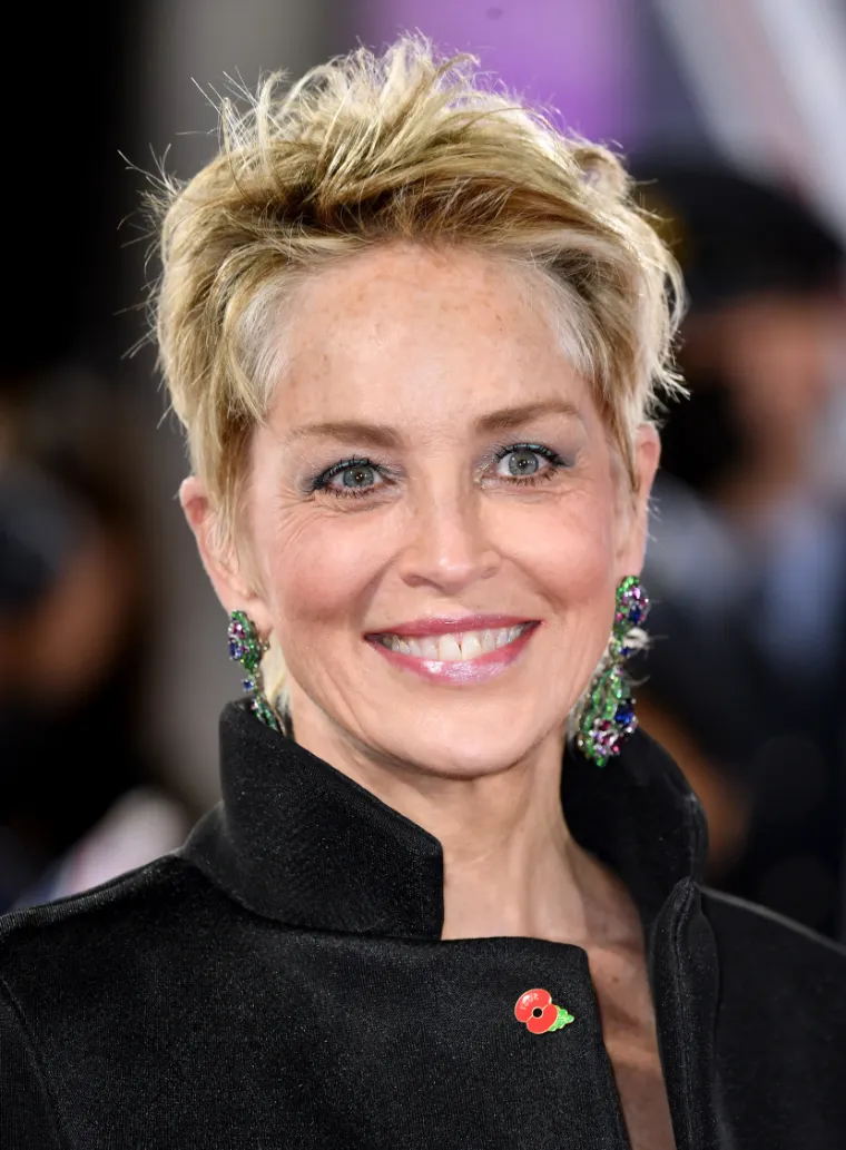 coupe sharon stone nouvelle coiffure
