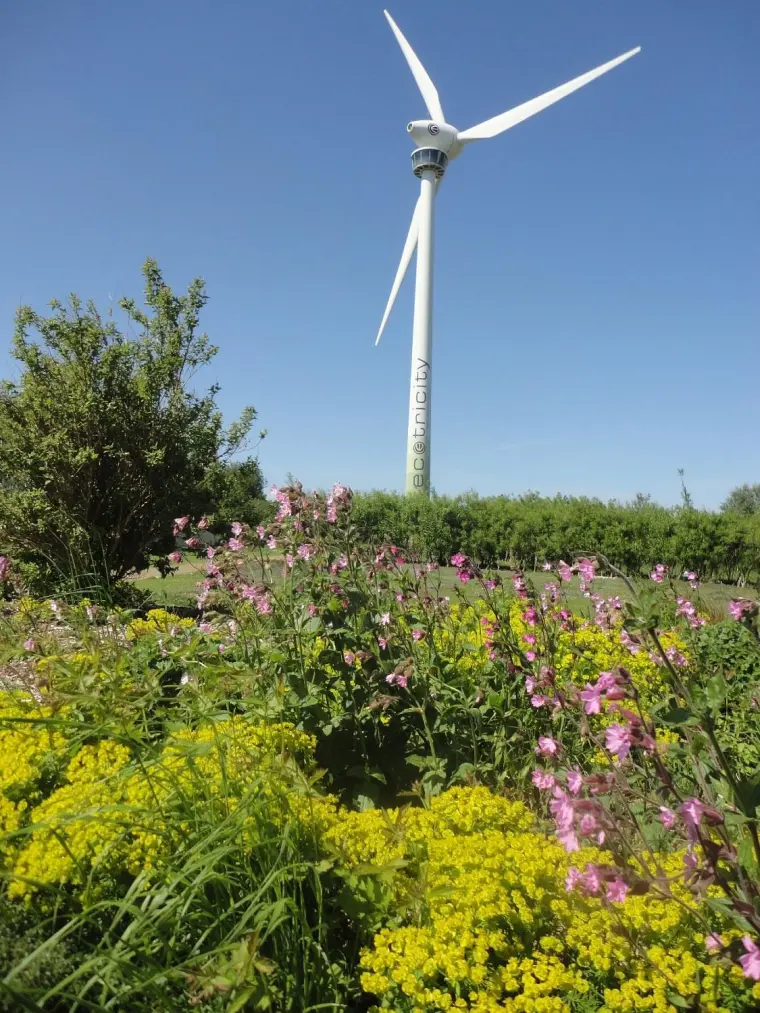 girouette éolienne de jardin