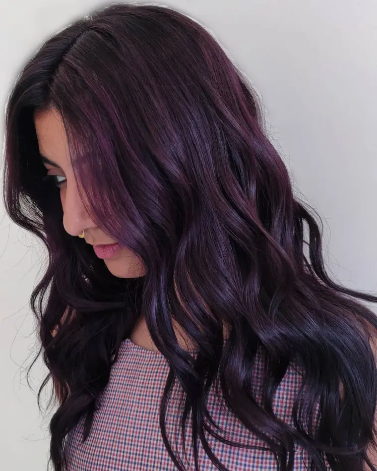 brun violet cheveux à la mode 2023