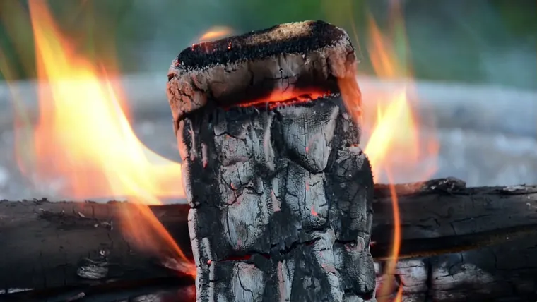 Les cendres de bois comme engrais naturel : comment et quand les utiliser au jardin ?