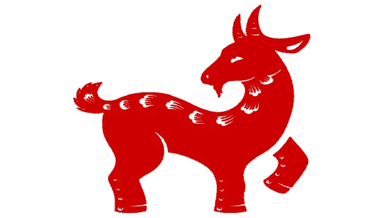 chèvre signe astro chinois