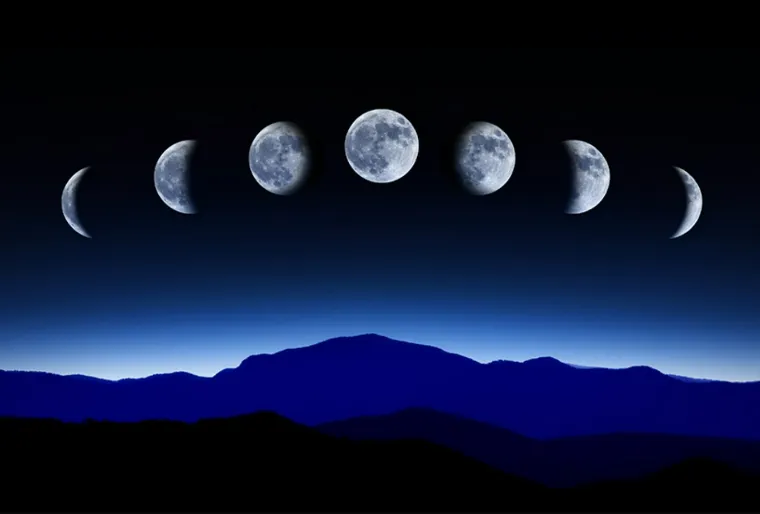 Comment suivre le calendrier lunaire pour jardiner avec la lune en 2023 ?