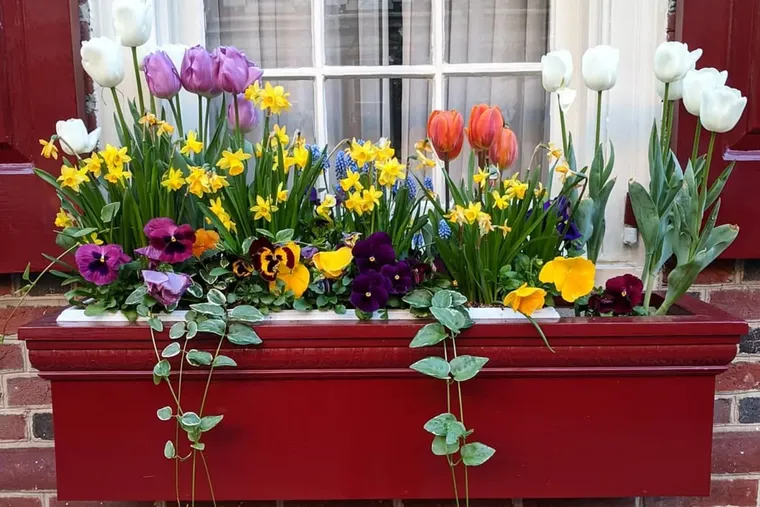 composition florale pour jardinière printemps