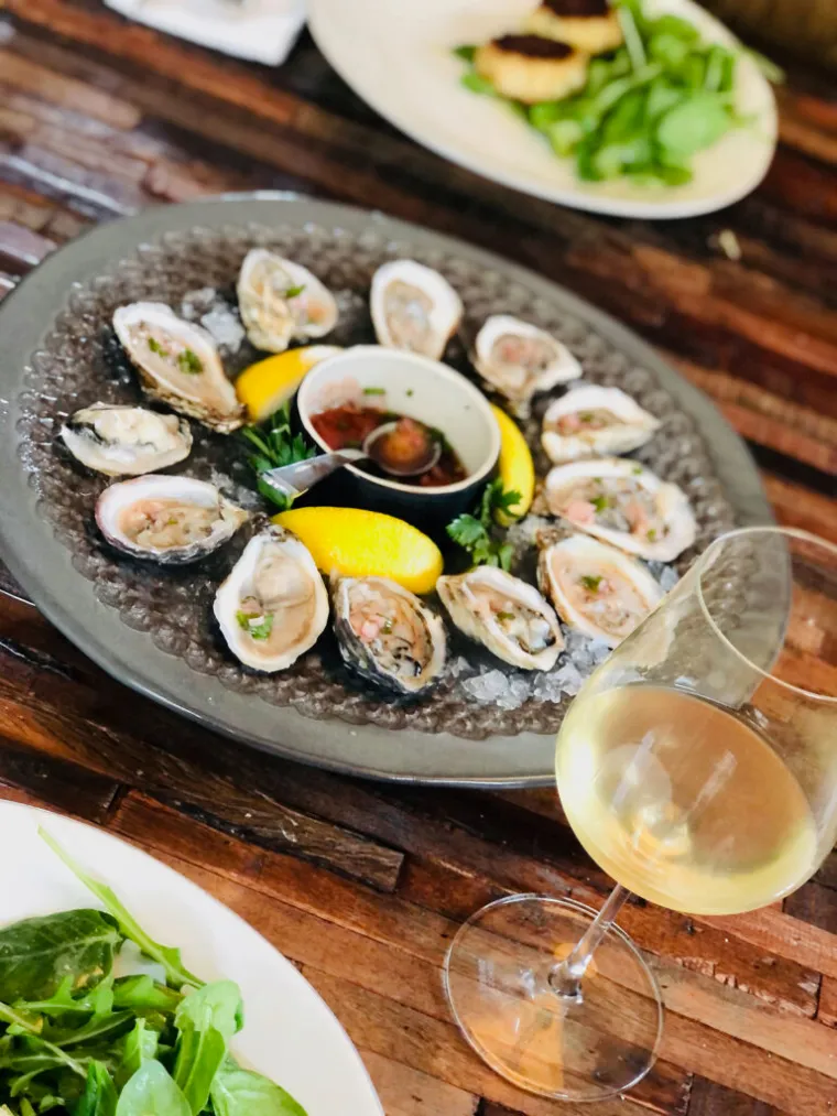 healthy oysters