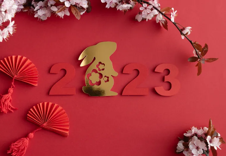 Quels sont les signes qui vont se marier en 2023 selon le Zodiaque et le calendrier chinois ?
