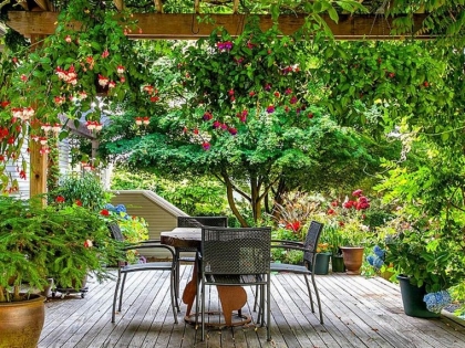 aménager sa terrasse avec des plantes abondance