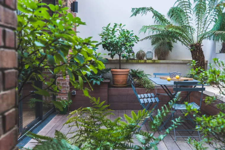 comment aménager sa terrasse avec des plantes