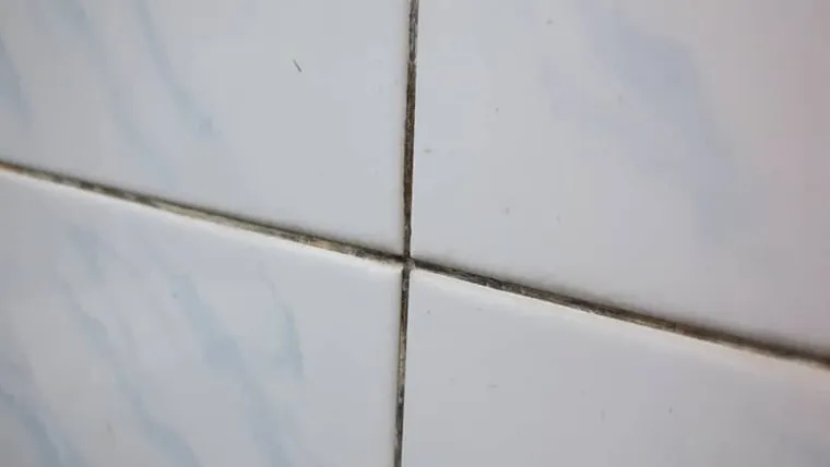 comment nettoyer les joints dans la salle de bain