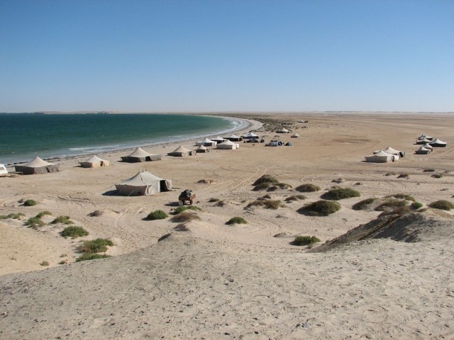 Banc  Arguin Parc National Mauritanie