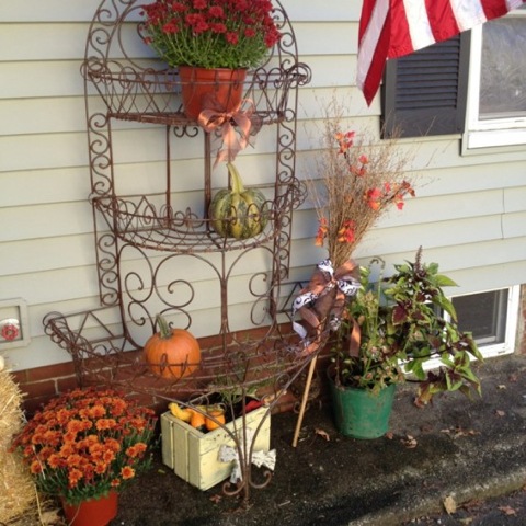 Fleurs et citrouilles comme décoration d'automne du veranda