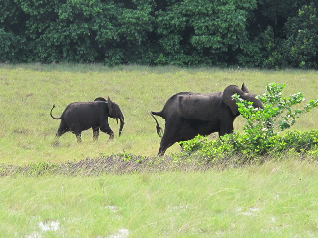 Gabon Parc National Loango