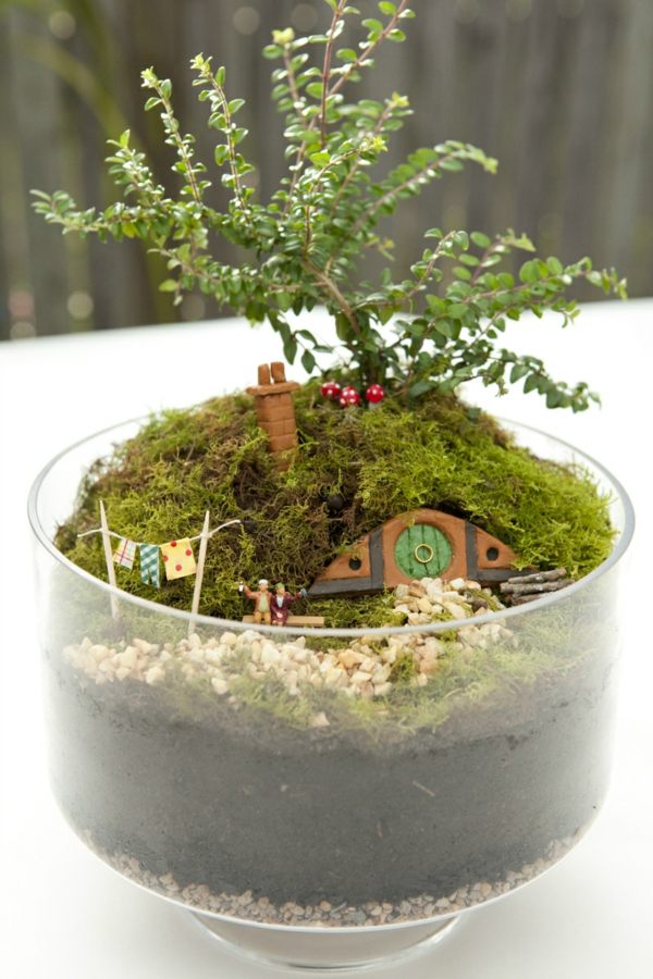 Jardin miniature bocal verre