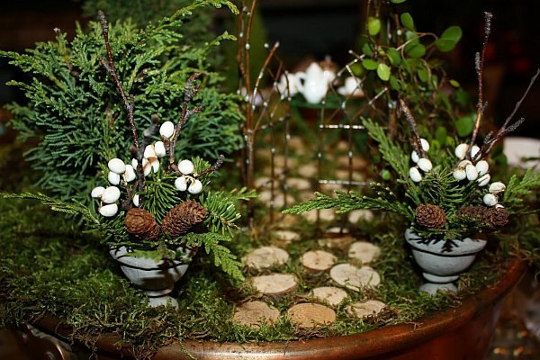 Jardin miniature petit trottoir pins
