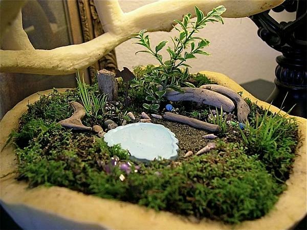 Jardin miniature style bonsaï etang
