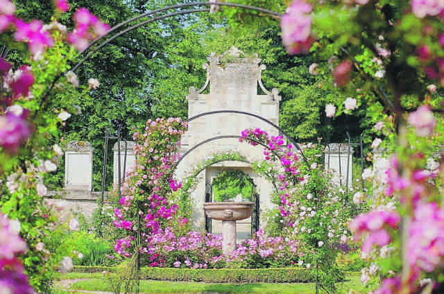 Jardin rose fontaine