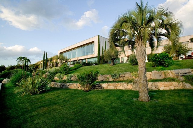 Jardin vert avec des palmiers