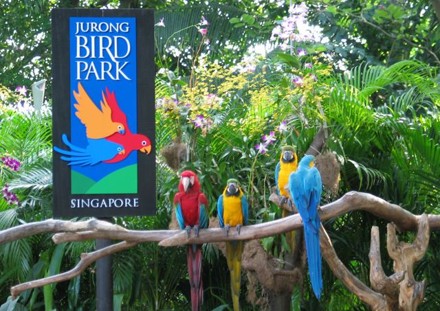Jurong Parc Oiseaux choses à faire