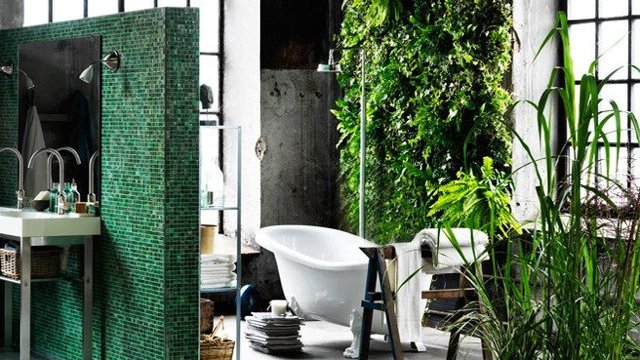 Mur végétal dans la salle de bain