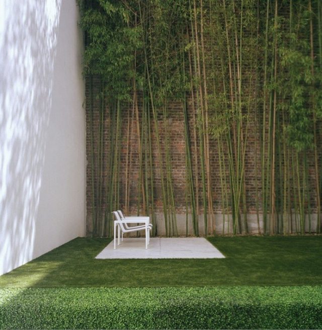 Petit jardin urbain bambou