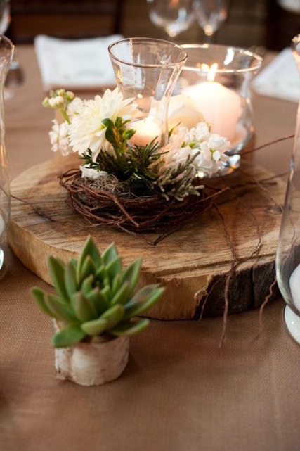 Plante-grasse decoration table