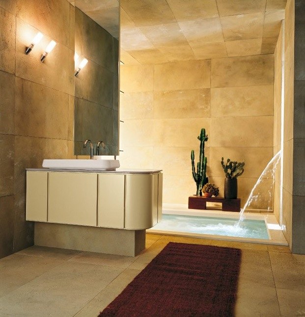 Salle de bains moderne avec cactus