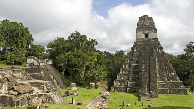 Tikal parc national Guatemala