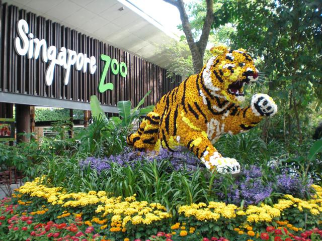 Zoo à Singapour