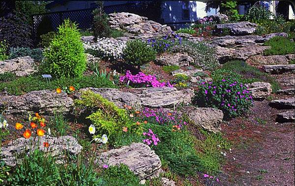aménagement jardin pierres naturelles