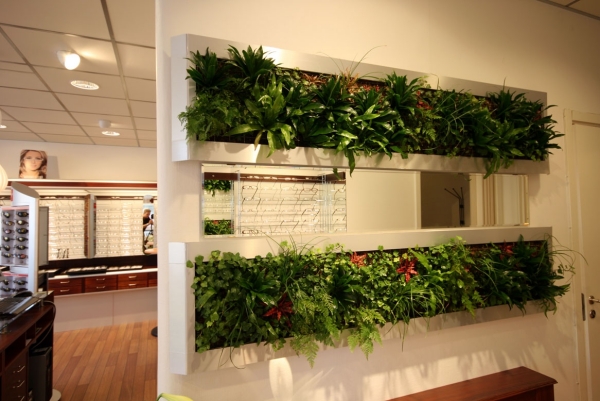 aménagement-de-maison-idée-originale-cloison-plantes-sympas-vertes