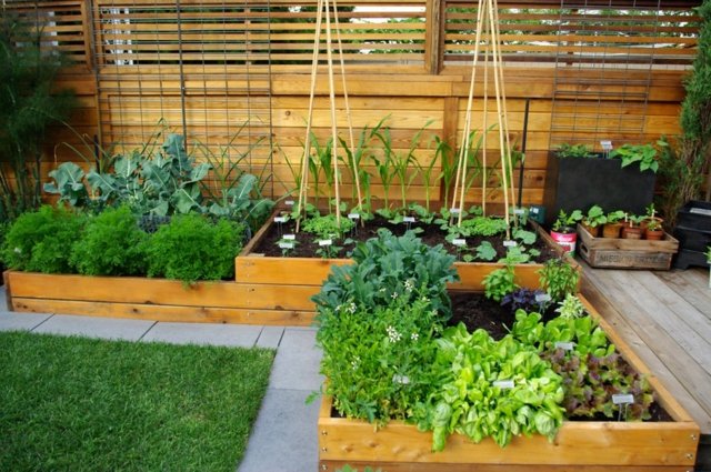 aménagements extérieurs herbes aromatiques jardin propre