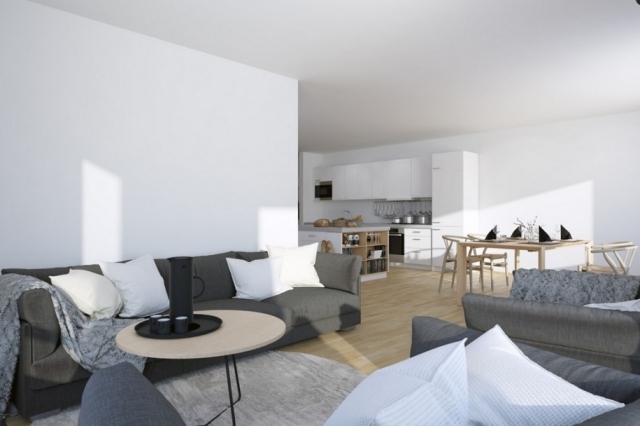 appartement-studio-scandinave-mobilier-gris