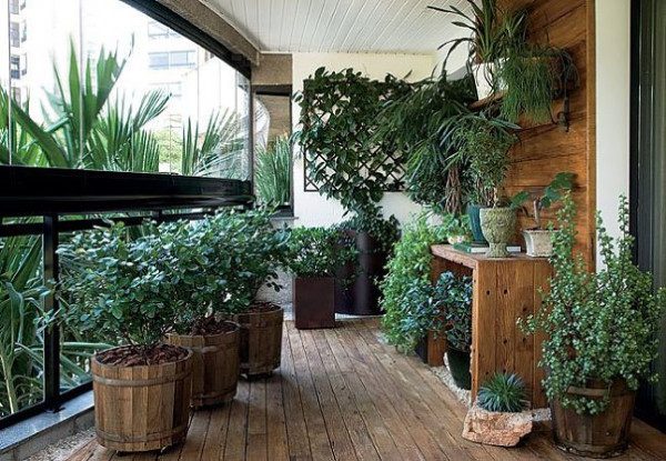 balcon bois plantes vertes bacs