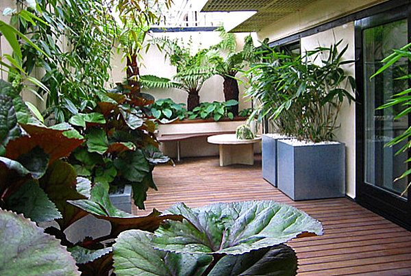 balcon végétation jardin design
