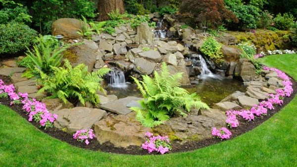 bassin aquatique fleurs design