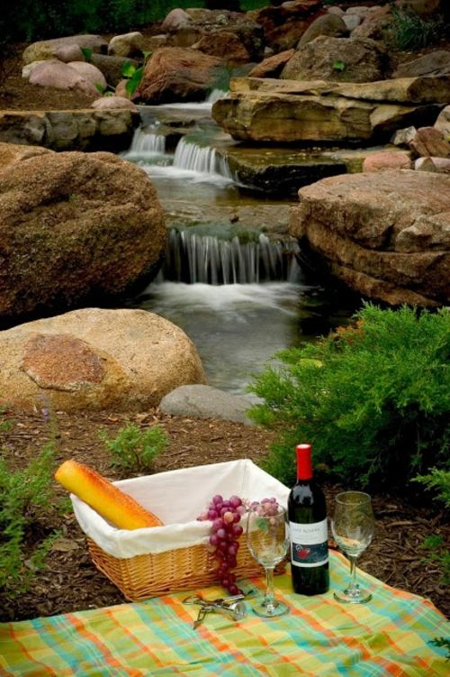 bassin de jardin cascade eau pique nique vin