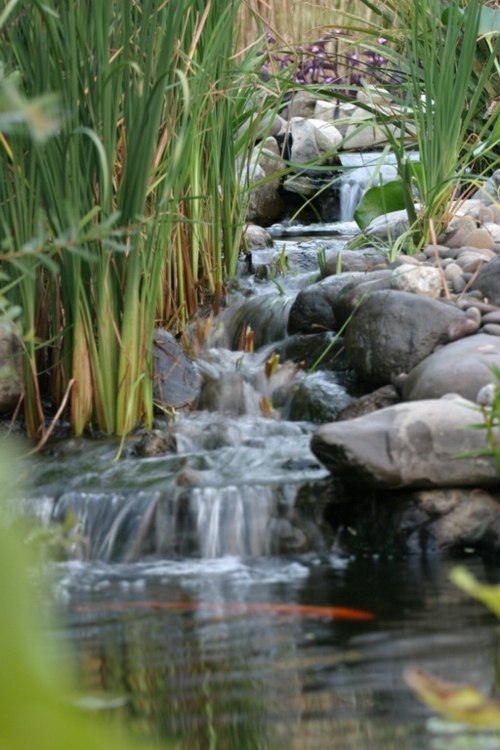 bassin de jardin cascade eau riviere ruisseau