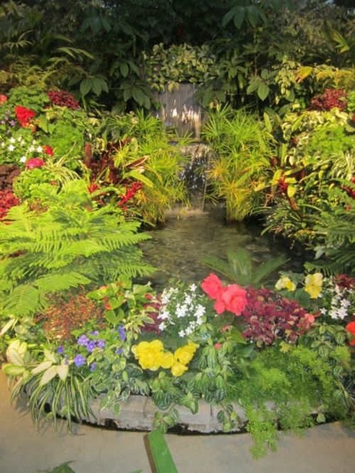 bassin de jardin fleuri fleur fontaine eau