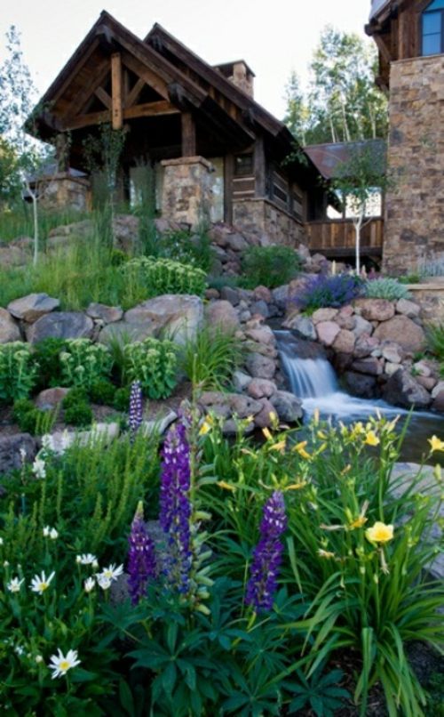 bassin de jardin lupin fleur cabane bois