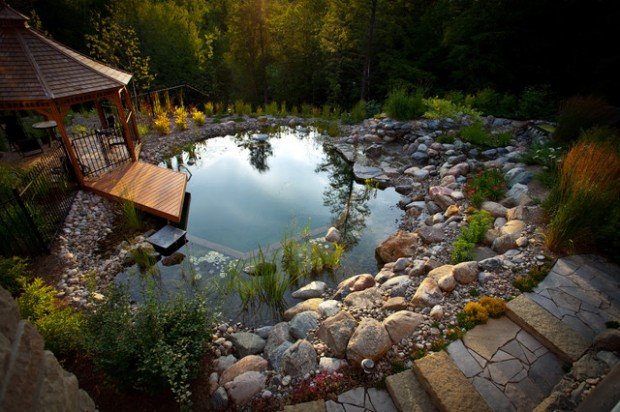 bassin de rêve jardin pierre pont bois