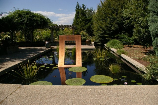 bassin d'eau végétation jardin