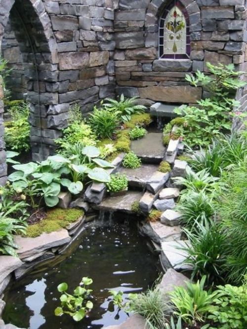 bassin jardin pierre ancien fleur eau