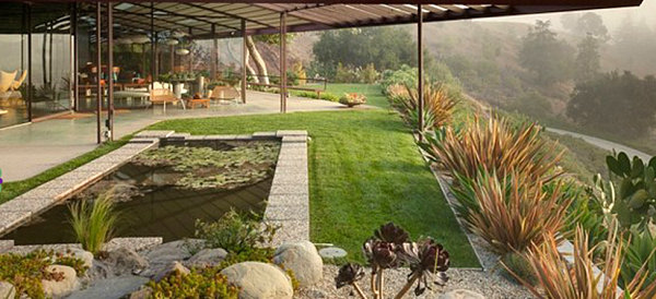 bassin pierres plantes design moderne